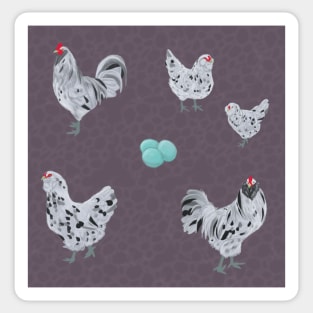 Splash Ameraucana Pattern Plum Sticker